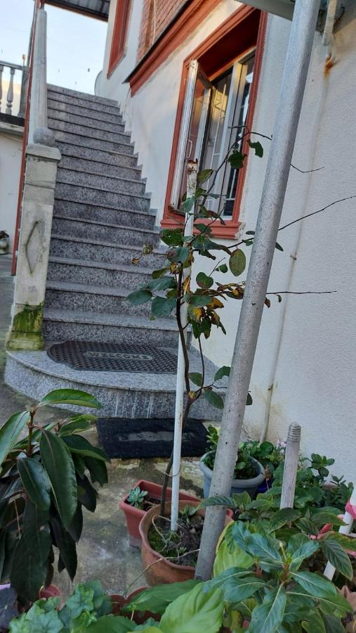 Boutique Hotel Pʼotʼi Zewnętrze zdjęcie