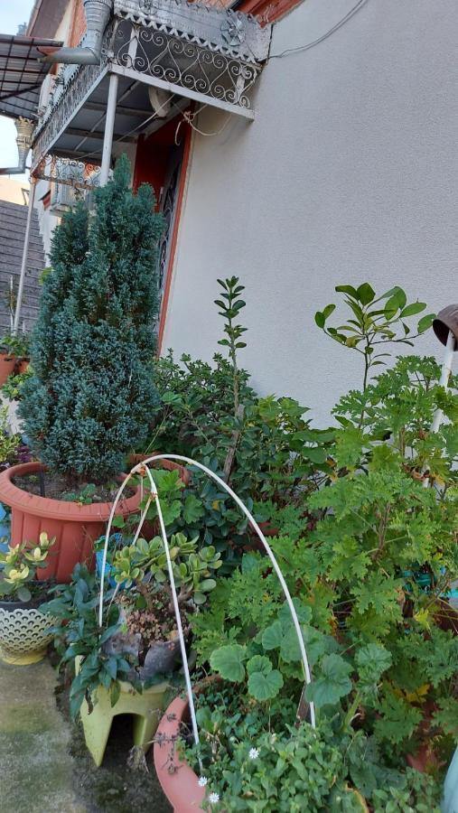 Boutique Hotel Pʼotʼi Zewnętrze zdjęcie