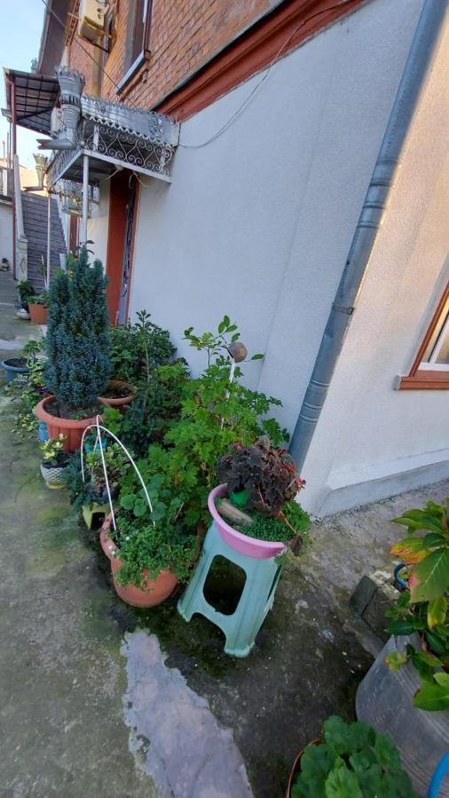 Boutique Hotel Pʼotʼi Zewnętrze zdjęcie