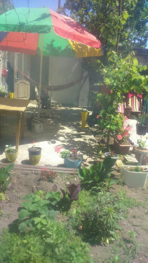 Boutique Hotel Pʼotʼi Zewnętrze zdjęcie